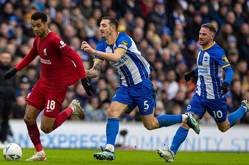 nhan-dinh-liverpool-vs-brighton