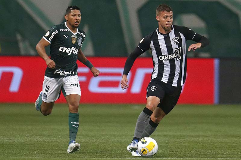 soi-keo-botafogo-vs-palmeiras