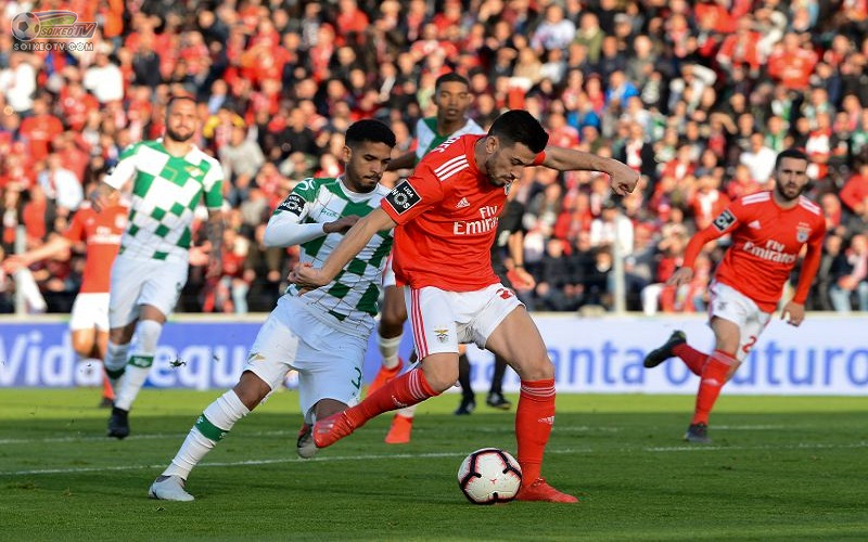 Nhận định, soi kèo Moreirense vs Benfica