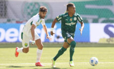 Soi kèo, nhận định Palmeiras vs Cuiaba 6h ngày 19/07/2022