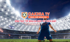 Cà Khịa TV – Trang web phát sóng World Cup 2022 hàng đầu hiện nay