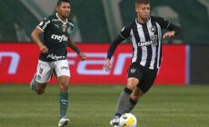 Nhận định, soi kèo Botafogo vs Palmeiras, 07h30 ngày 15/8/2024